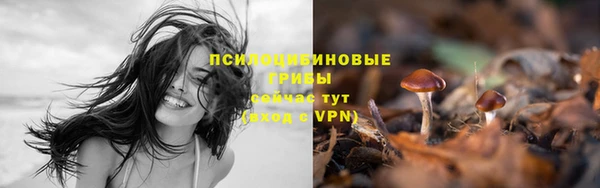 мяу мяу мука Балахна