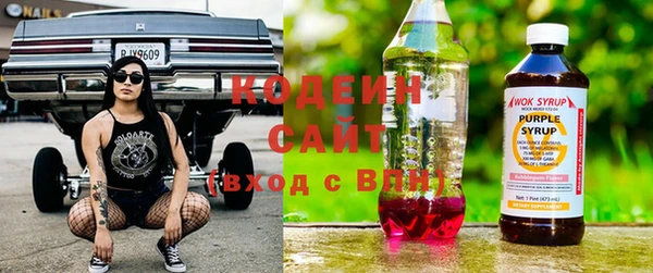 индика Балабаново