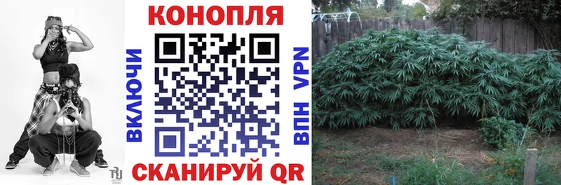 купить  сайты  Опочка  Конопля гибрид 